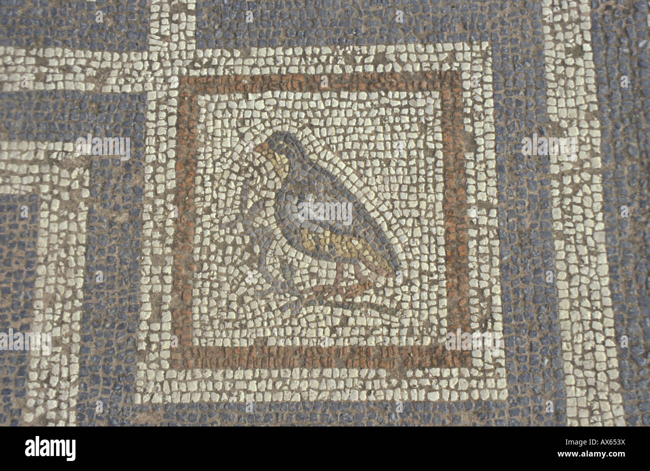 Mosaico greco con uccello sul ramo Foto Stock