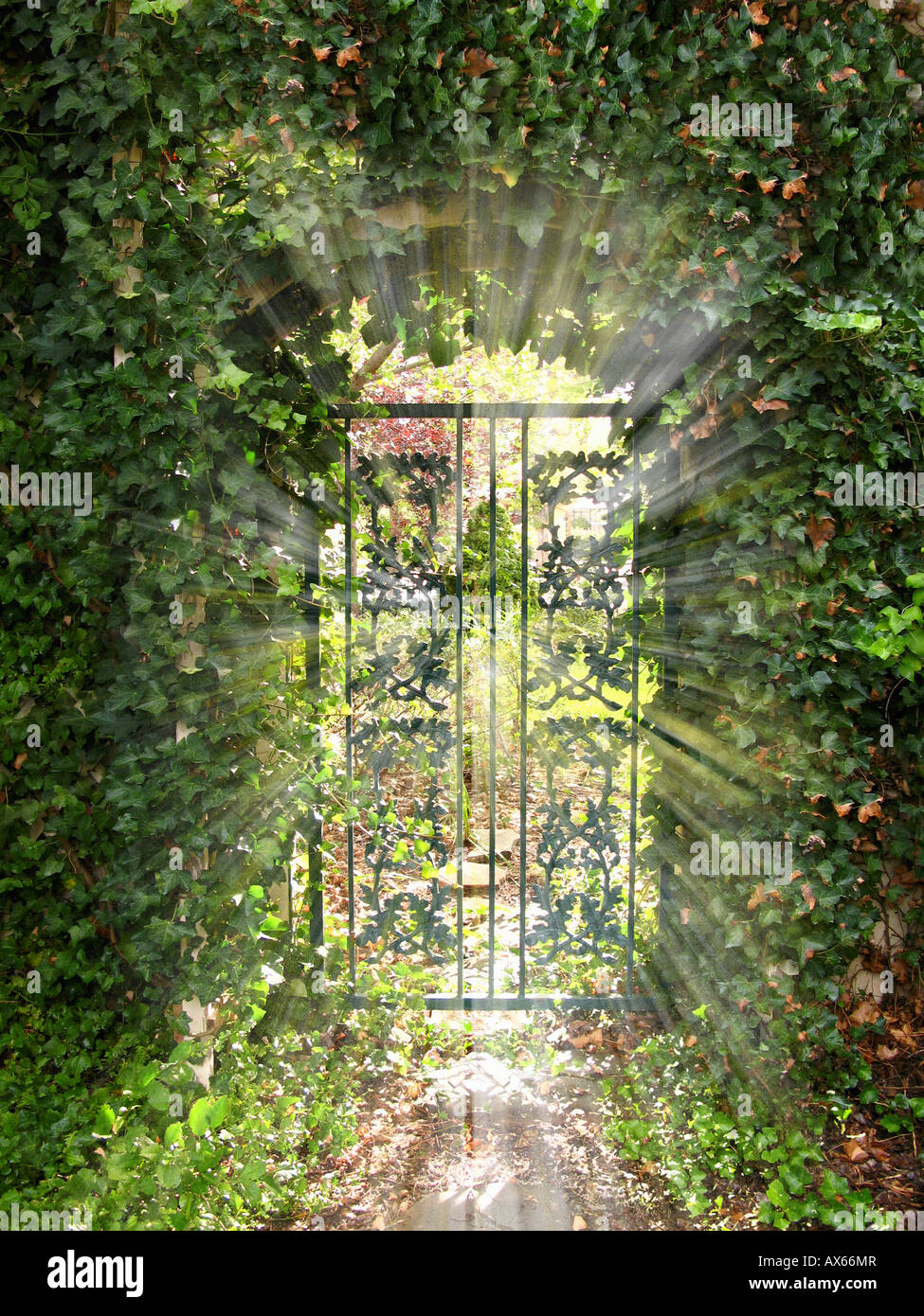Digitallly enhanced gate & fogliame Foto Stock