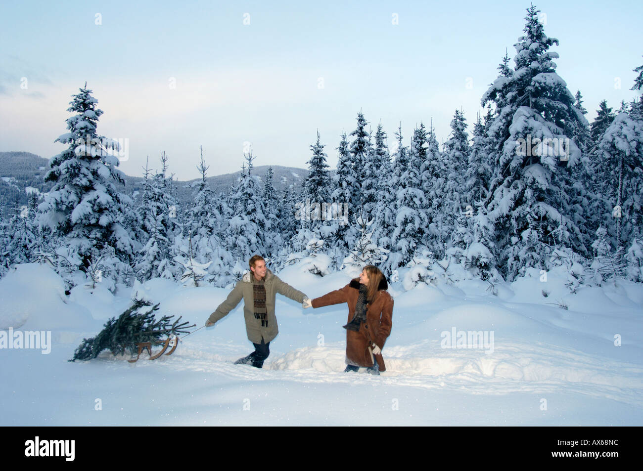 Giovane a piedi nella neve, portando ad albero di natale Foto Stock