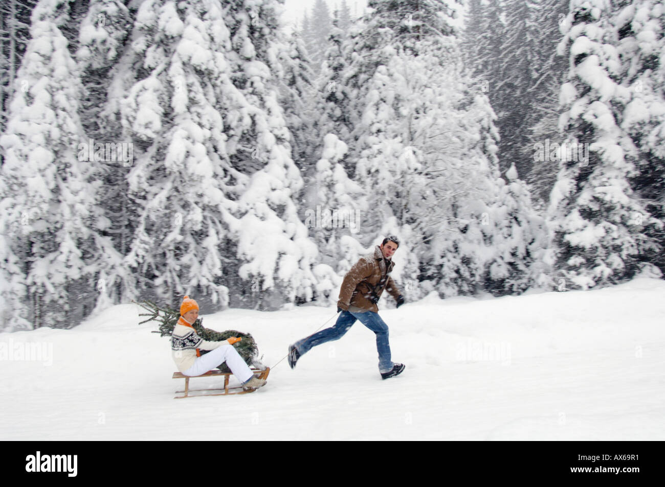 L'uomo tirando la slitta con donna azienda albero di Natale Foto Stock