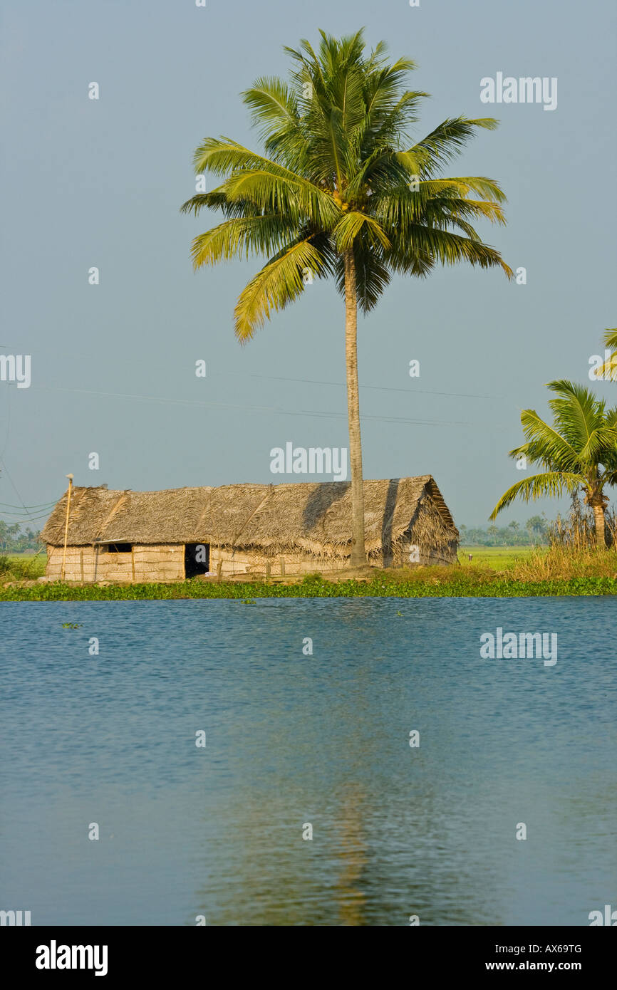 Casa di paglia in Kerala Backwaters in India Foto Stock