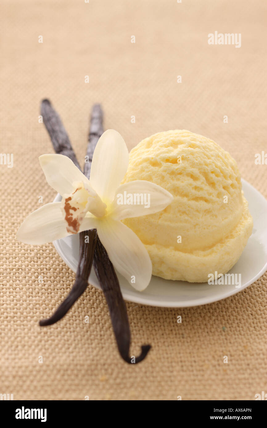 Gelato alla vaniglia Foto Stock