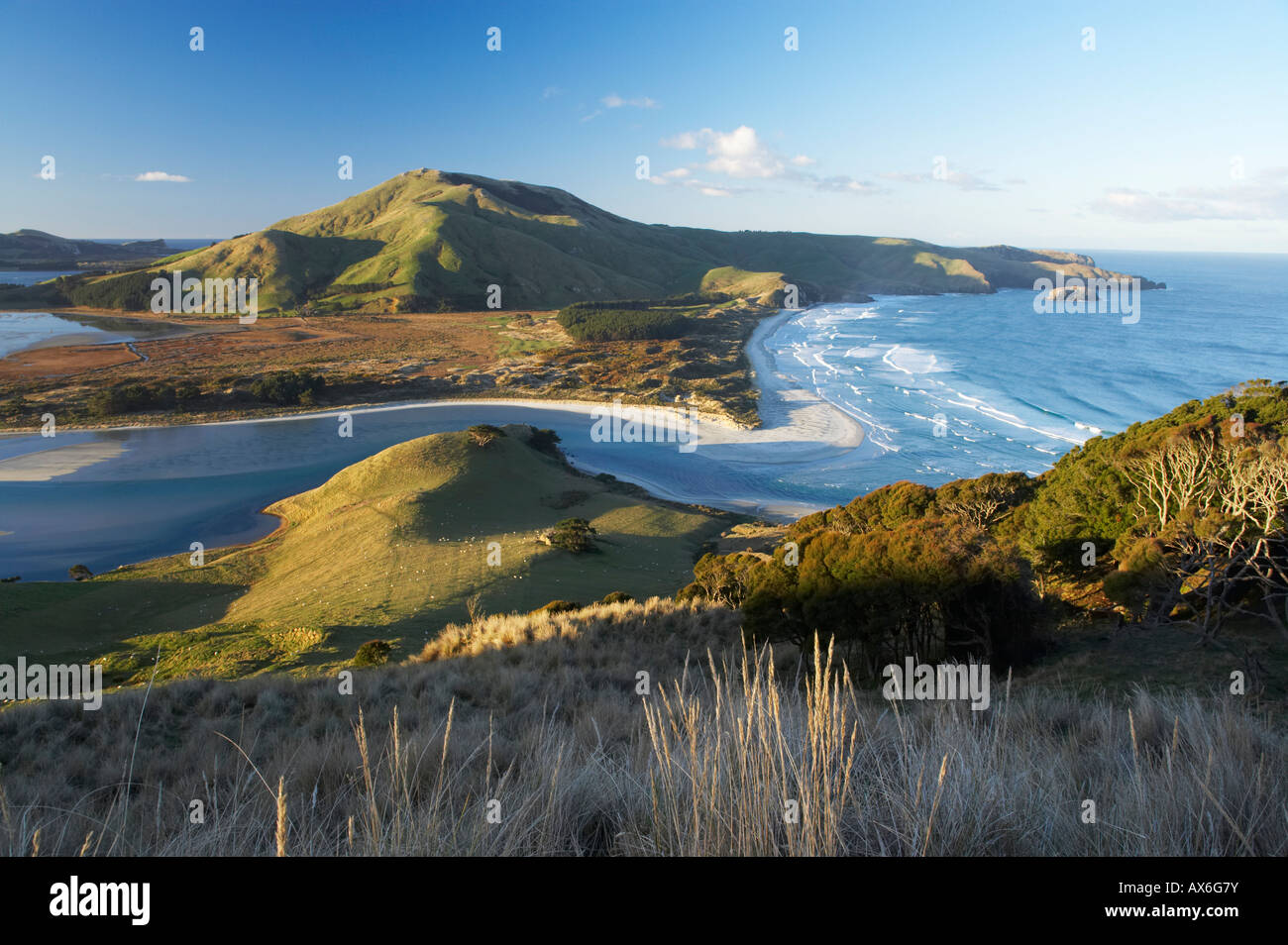 Ingresso Hoopers Allans Beach e Mt Charles Penisola di Otago vicino a Dunedin Isola del Sud della Nuova Zelanda Foto Stock