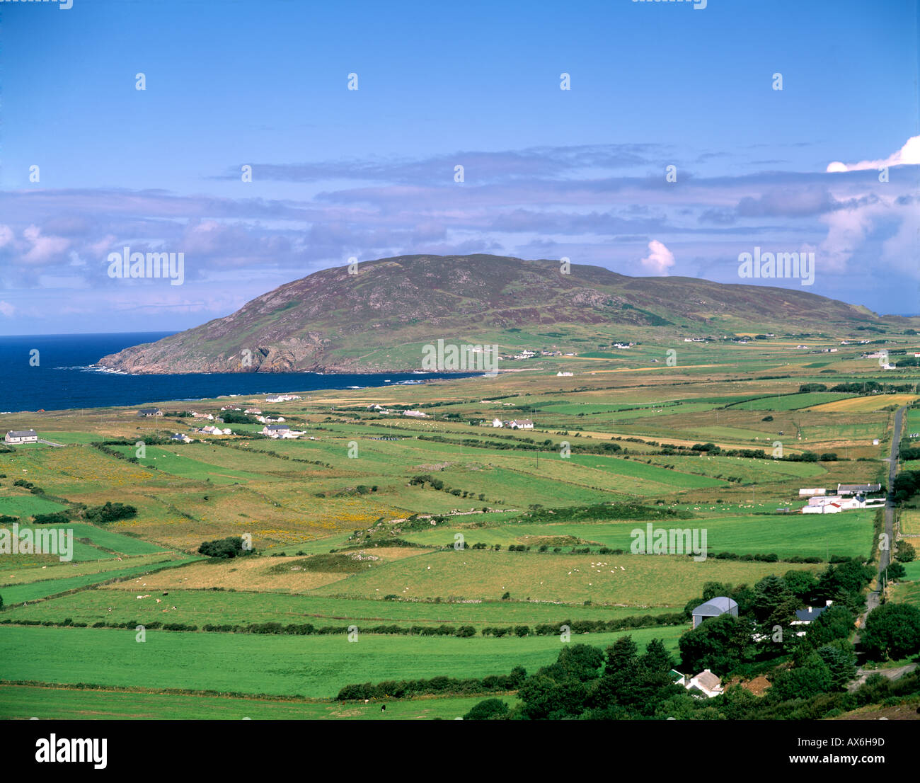 Il verde dei prati lungo l'irlanda Nord west coast Foto Stock