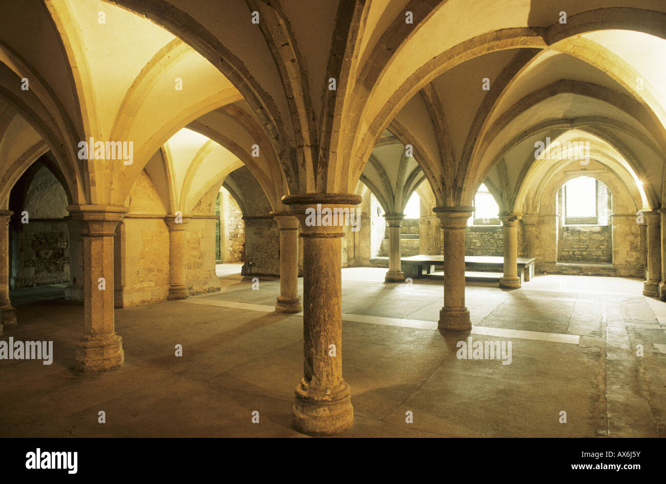 Rochester Cathedral Crypt Undercroft Kent archi medievali vault vaulting Inghilterra Inglese Regno Unito storia dell'architettura turismo Foto Stock