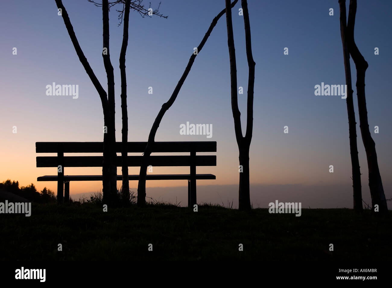 Panca in legno sulla sommità di una collina nel crepuscolo Bologna Italia Foto Stock