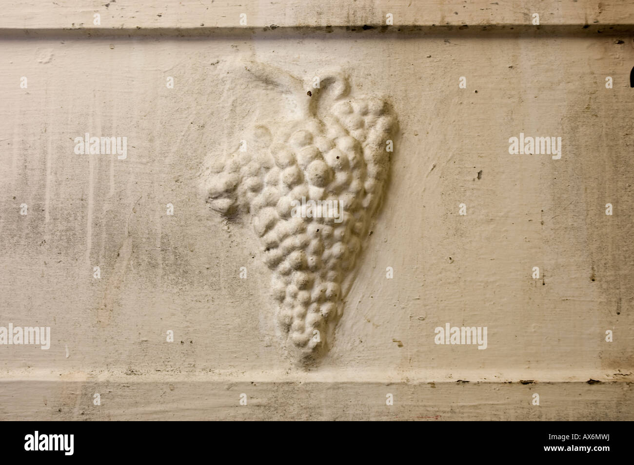 Dettaglio di un grappolo di uva scolpito su un vecchio serbatoio di cemento per conservare il vino in una cantina italiana cantina serie Foto Stock