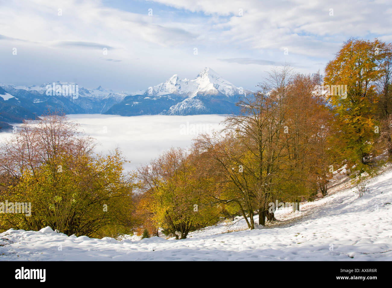 Faggi sul paesaggio polare, Mt Watzmann, Steinernes Meer, sulle Alpi di Berchtesgaden, Berchtesgadener Land di Baviera, Germania Foto Stock