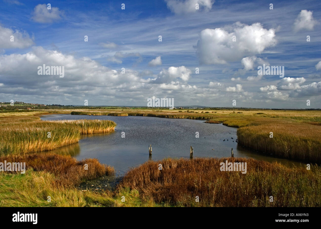 Farlington Marsh Riserva Naturale, Portsmouth, Hampshire, Regno Unito Foto Stock