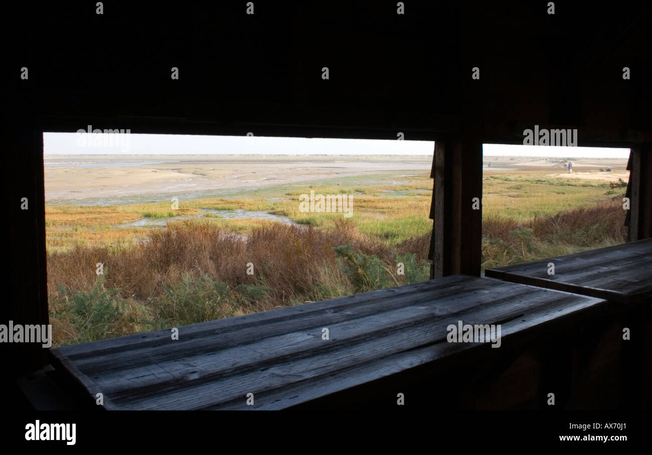 Vista da bird nascondere nel porto Pagham natura locale riserva, West Sussex, Regno Unito Foto Stock Vista da bird nascondere nel porto Pagham natura locale riserva, West Sussex, Regno Unito Foto Stock