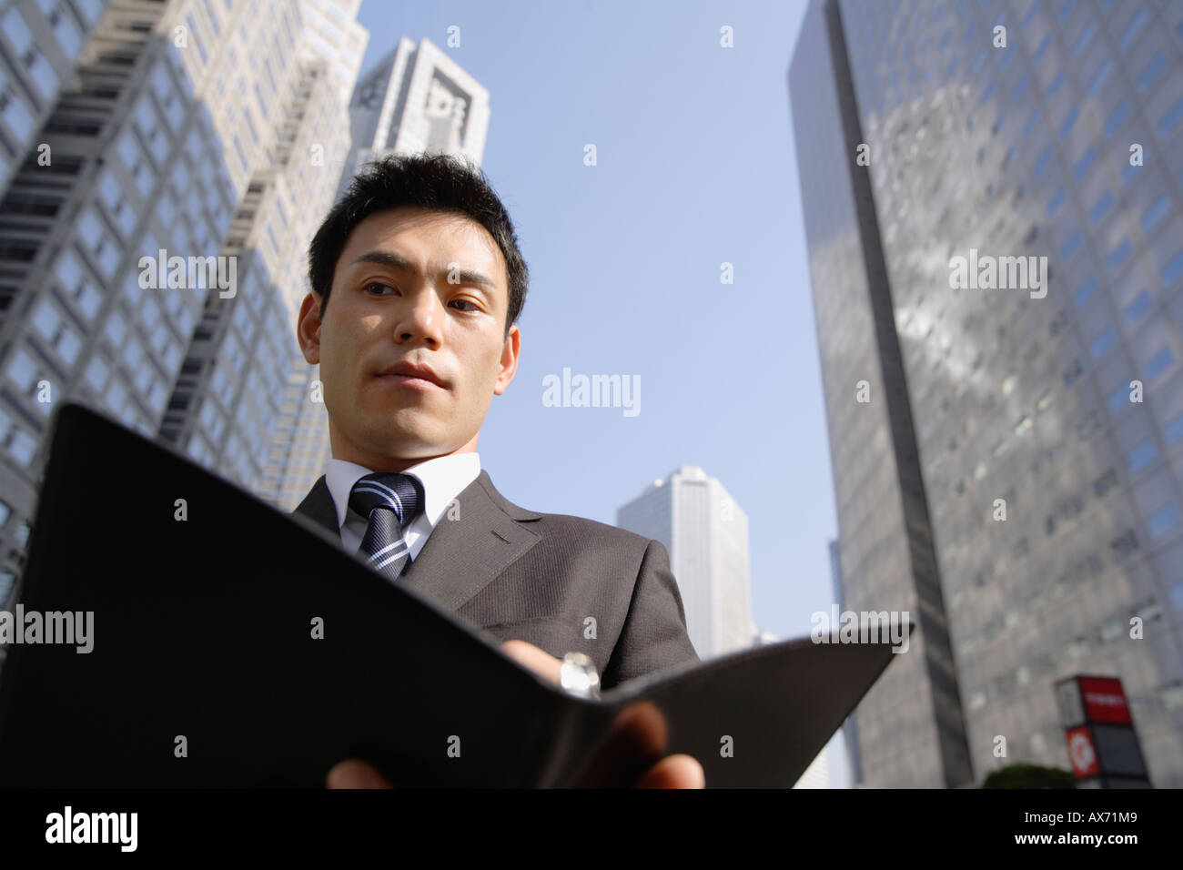 Imprenditore navigando in un file, ritratto Foto Stock