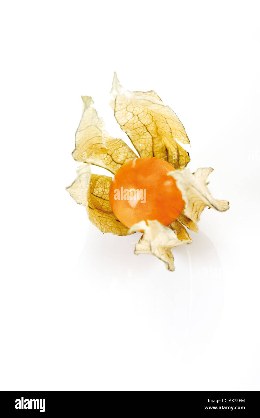 Physalis frutta Foto Stock