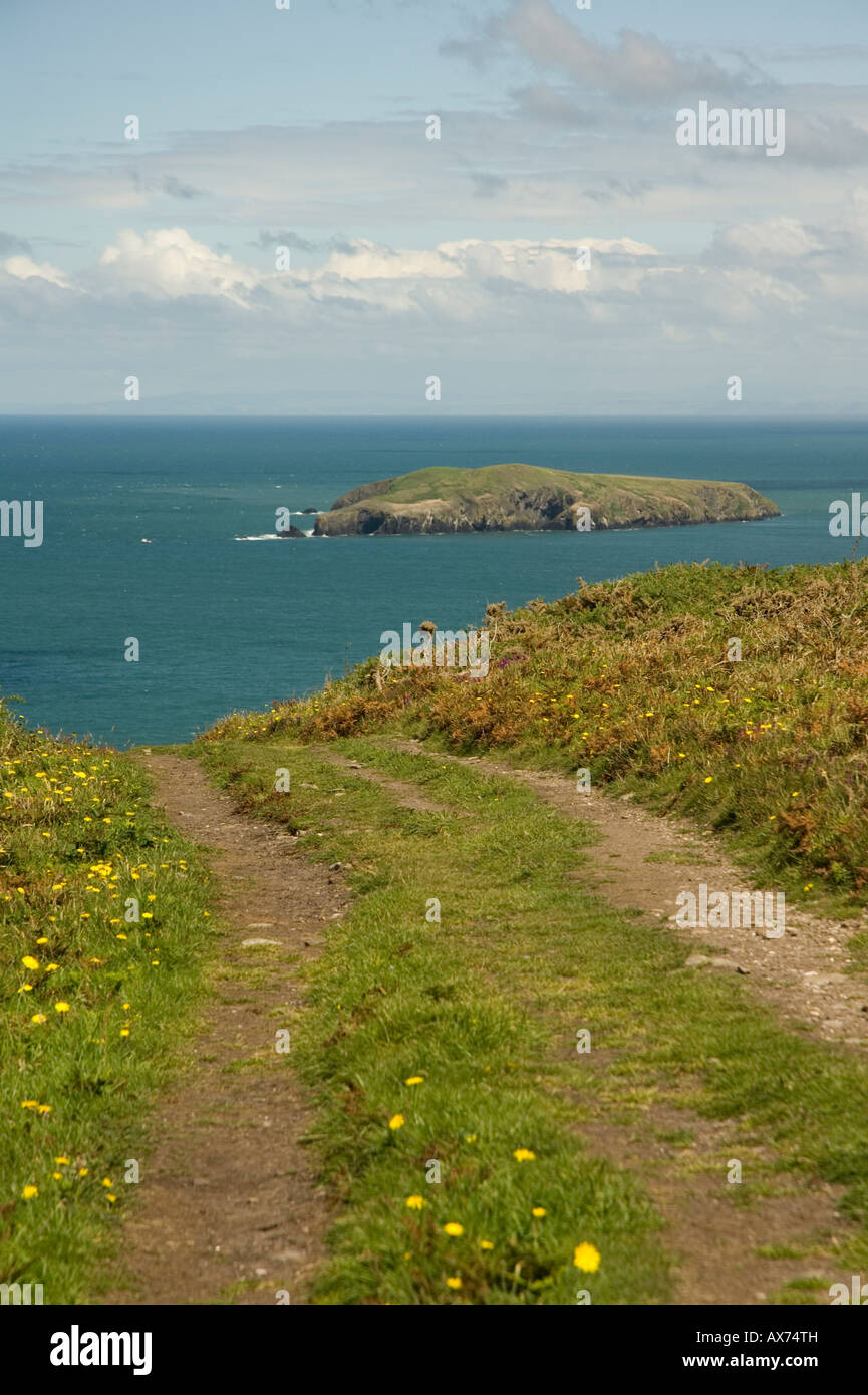 Pembrokshire sentiero costiero vista su Cardigan Island Foto Stock