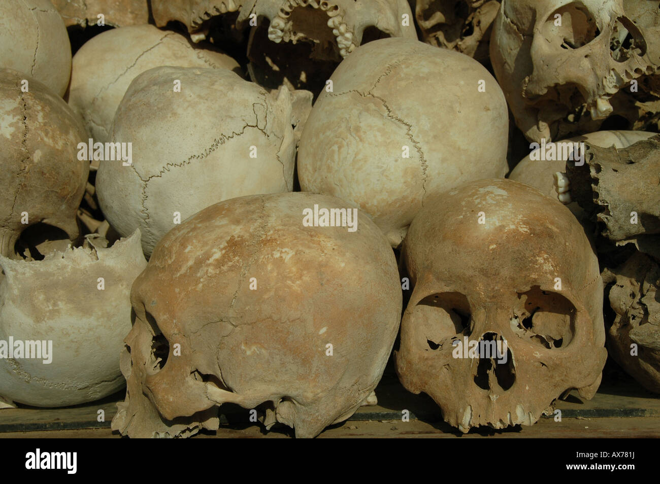 Teschi all'interno della Stupa buddisti in corrispondenza dei campi di sterminio di Choeung Ek, 15 km a sud di Phnom Penh in Cambogia. Foto Stock