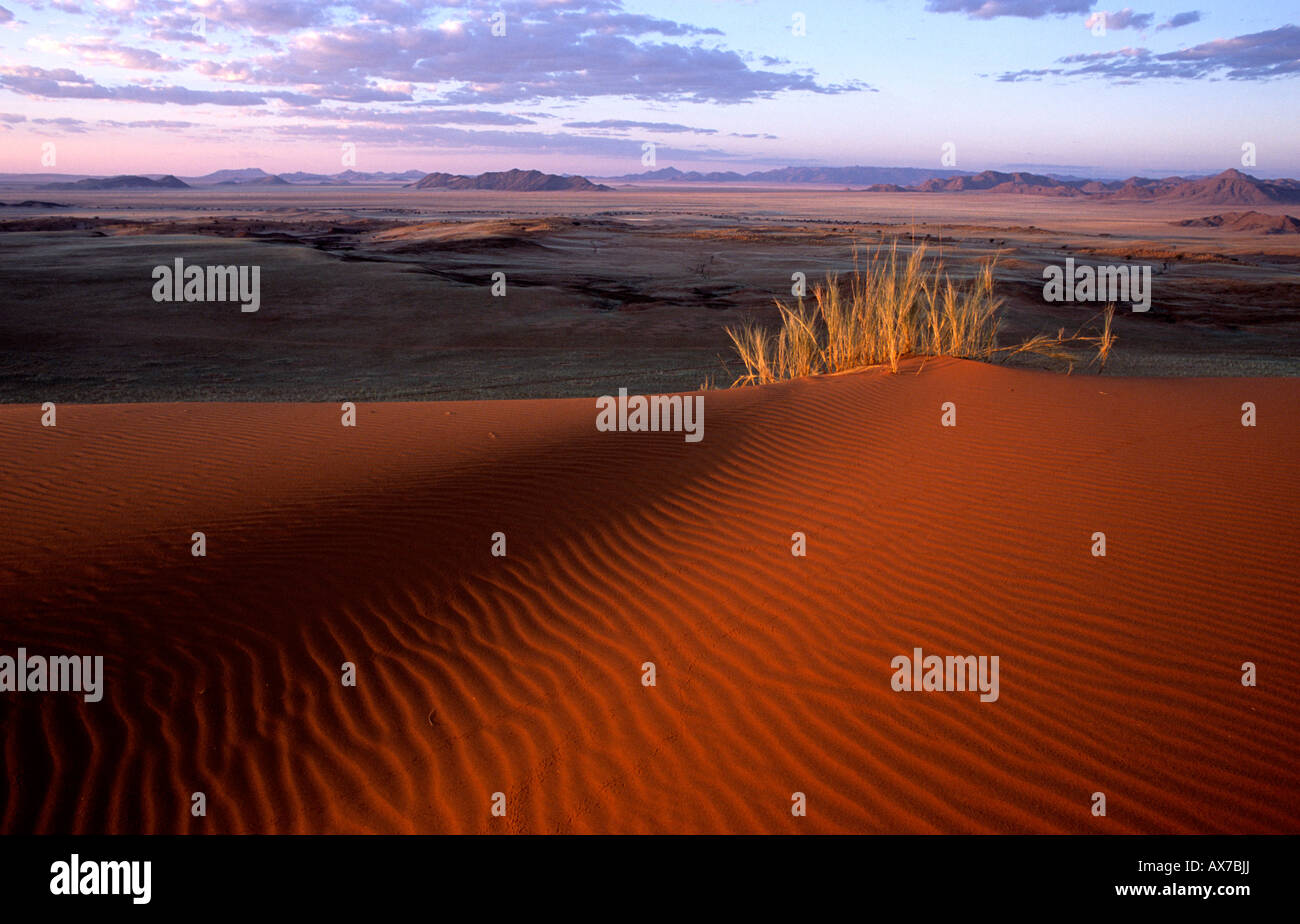 Deserto del Namib al tramonto Farm Dieprivier Namibia Foto Stock