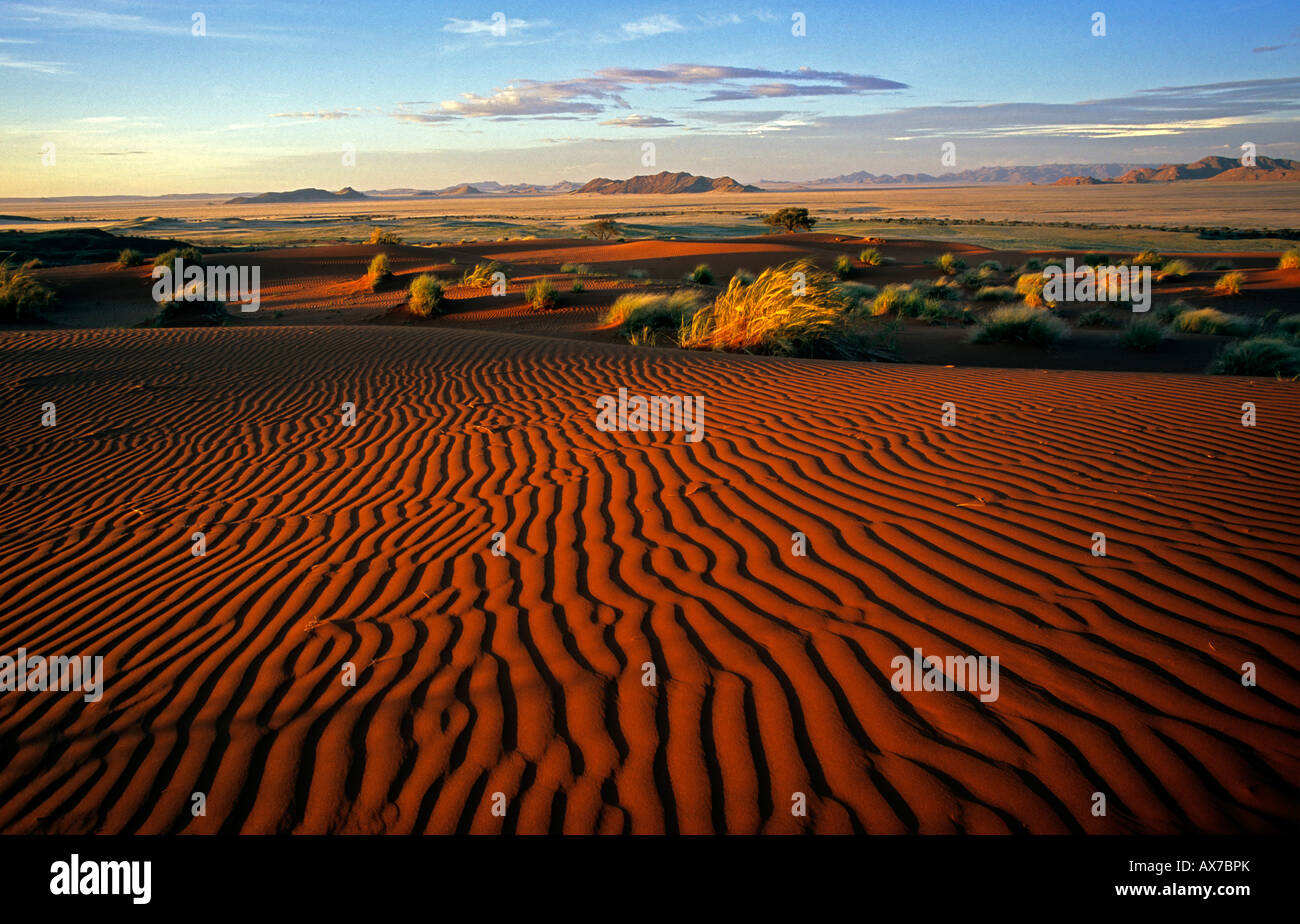 Tramonto sul increspato le dune di sabbia del deserto del Namib Farm Dieprivier Namibia Foto Stock