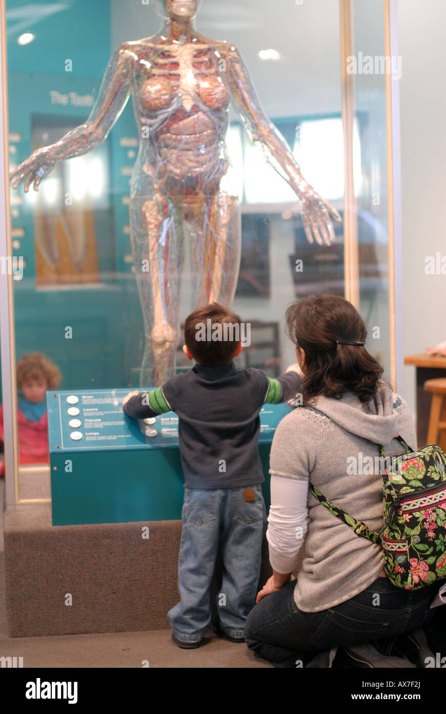 Madre di origine ispanica e 2 1/2 anno vecchio ragazzo presso il Museo della Scienza, Boston MA - interactive sezione per bambini, ragazzo viste le diapositive Foto Stock