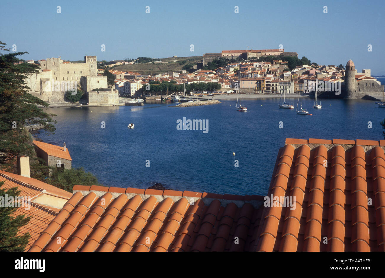 Vista sulla città di Collioure,, Languedoc Roussillon Francia Foto Stock