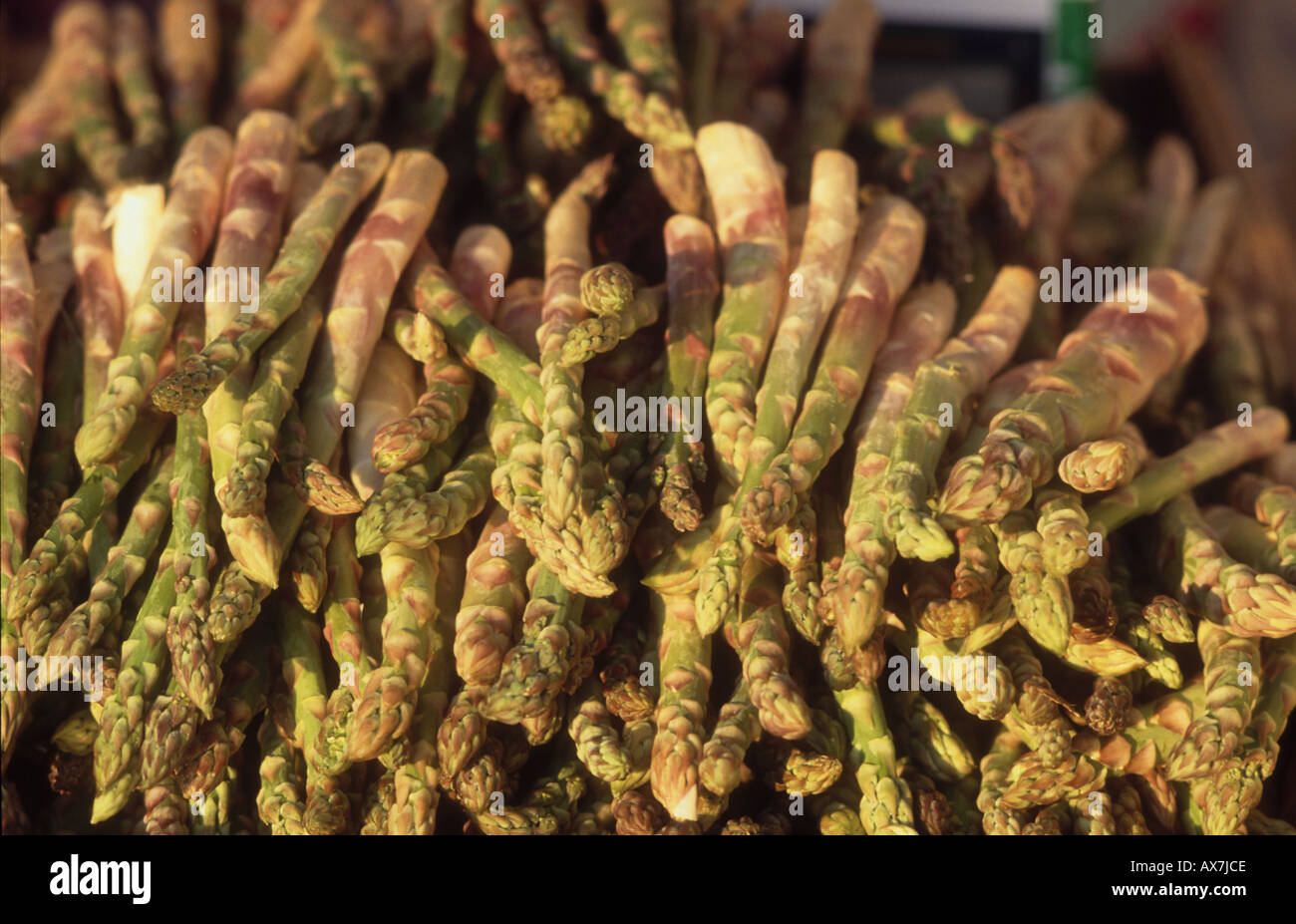 Gli asparagi in un mercato in stallo a Montpellier, Francia Foto Stock
