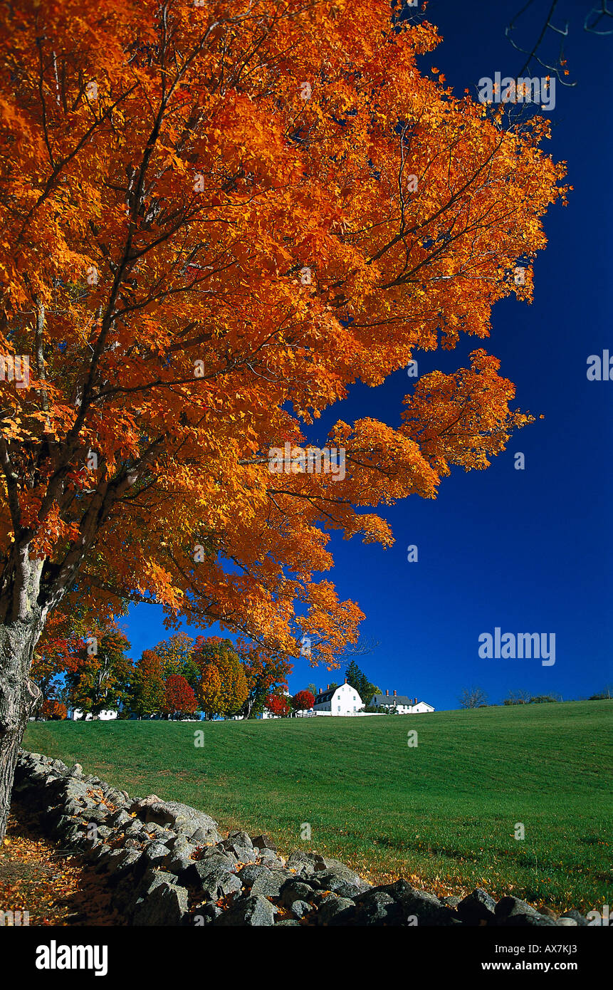 Case e alberi di Shakerdorf sotto il cielo blu, Canterbury, New Hampshire, New England, America Foto Stock