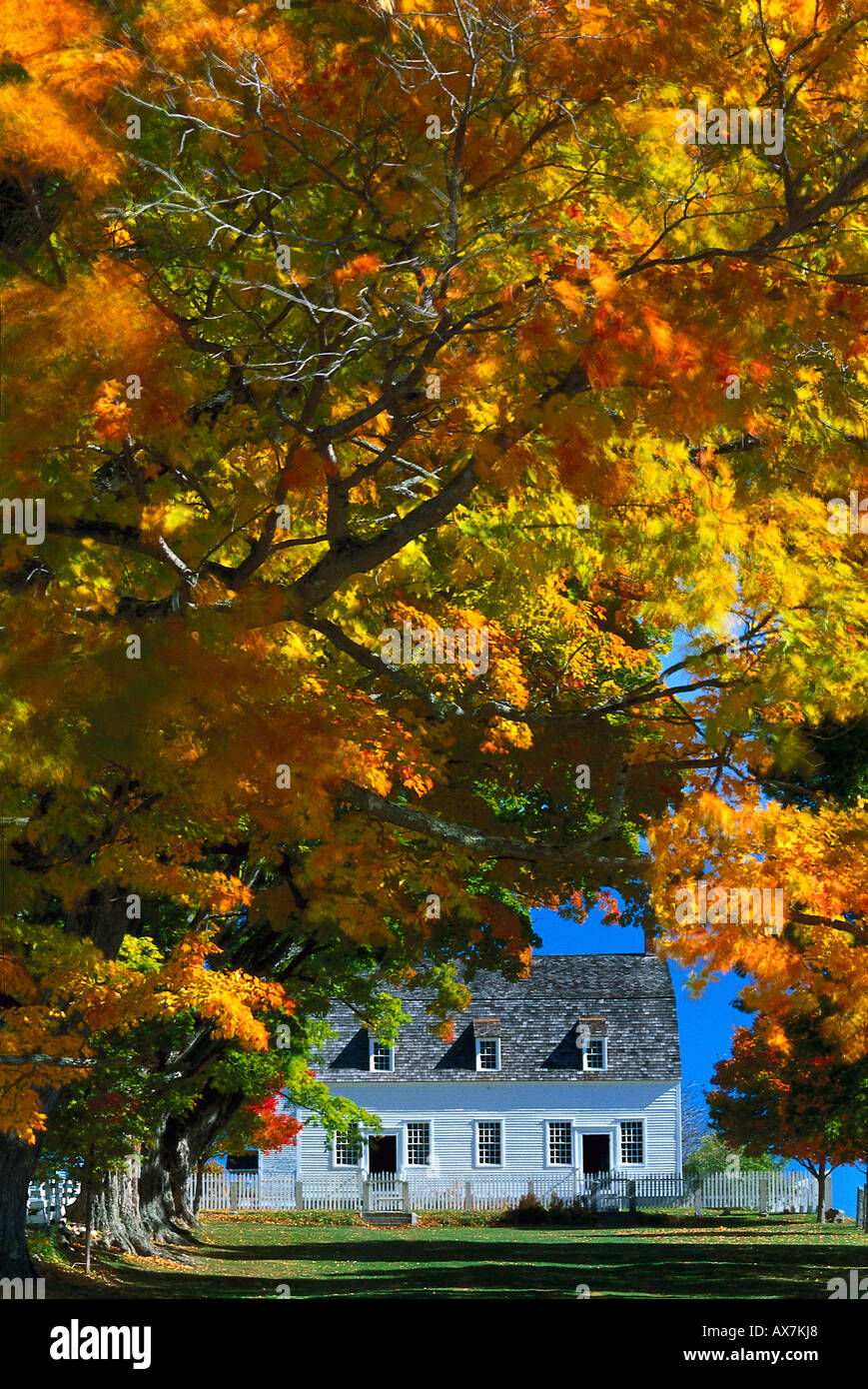 Town Hall e alberi autunnali, Shakerdorf, Canterbury, New Hampshire, New England, America Foto Stock