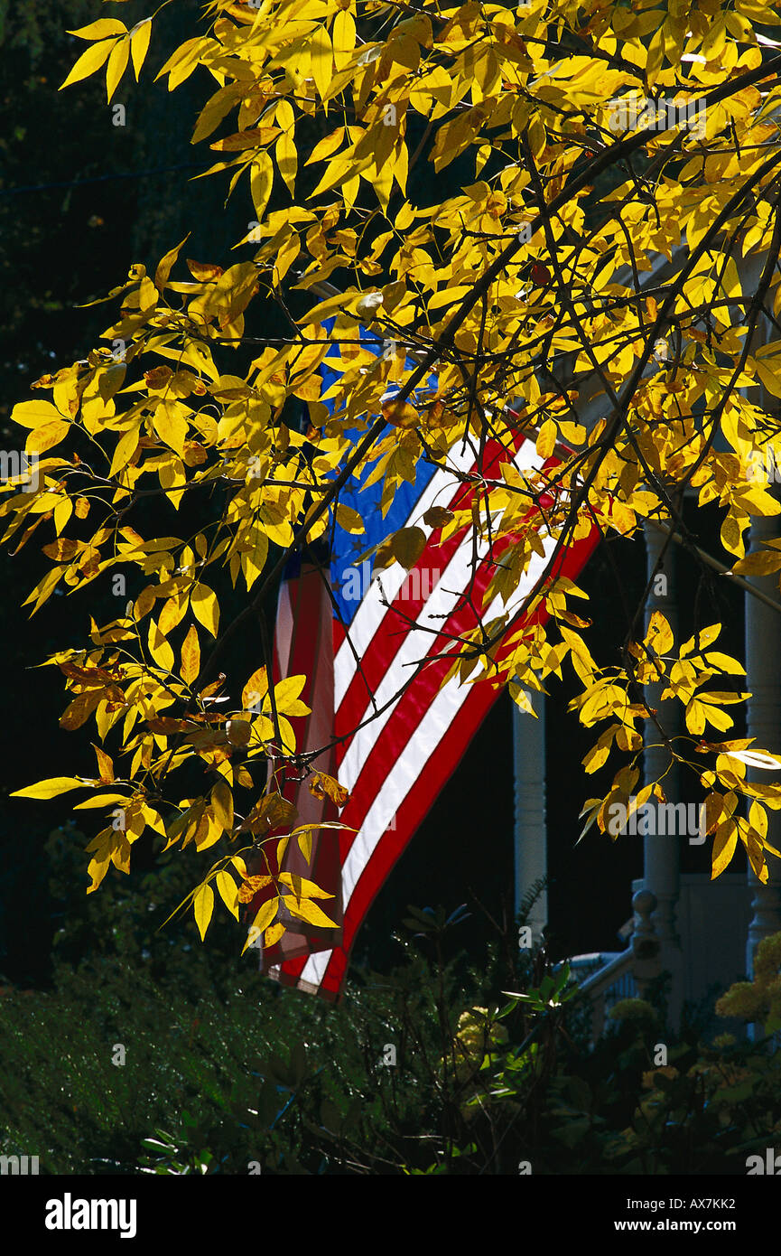 Bandiera americana dietro foglie autunnali nella luce del sole, New England, Stati Uniti d'America, America Foto Stock