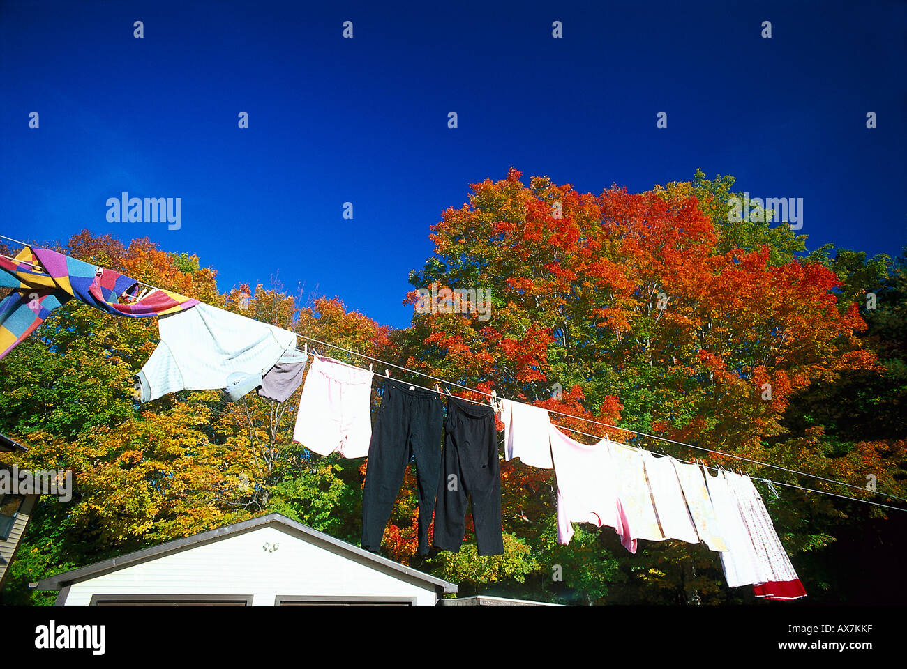 Stendibiancheria e alberi autunnali sotto il cielo blu, Maine, Stati Uniti d'America, America Foto Stock