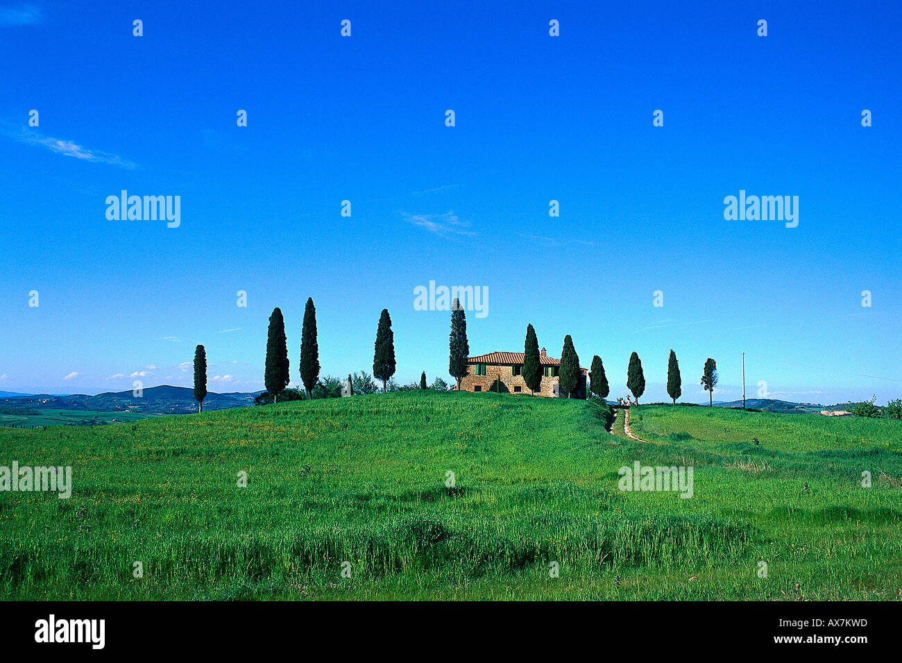 Villa suedlich von Siena, Toskana Italien Foto Stock