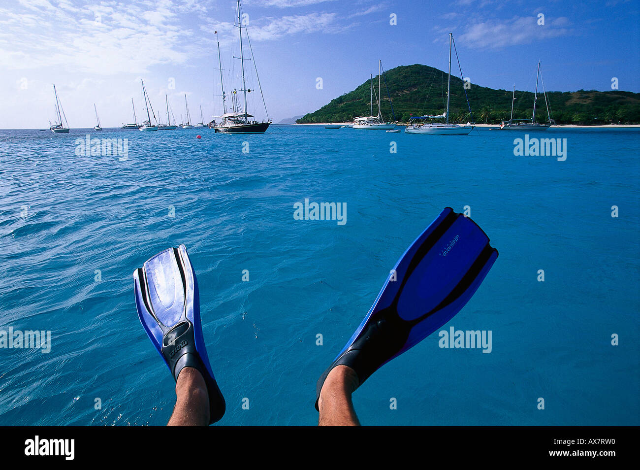 Schnorcheln vor Petit Saint Vincent, Segeltoern durch Windward Islands Saint Vincent e Grenadine Foto Stock