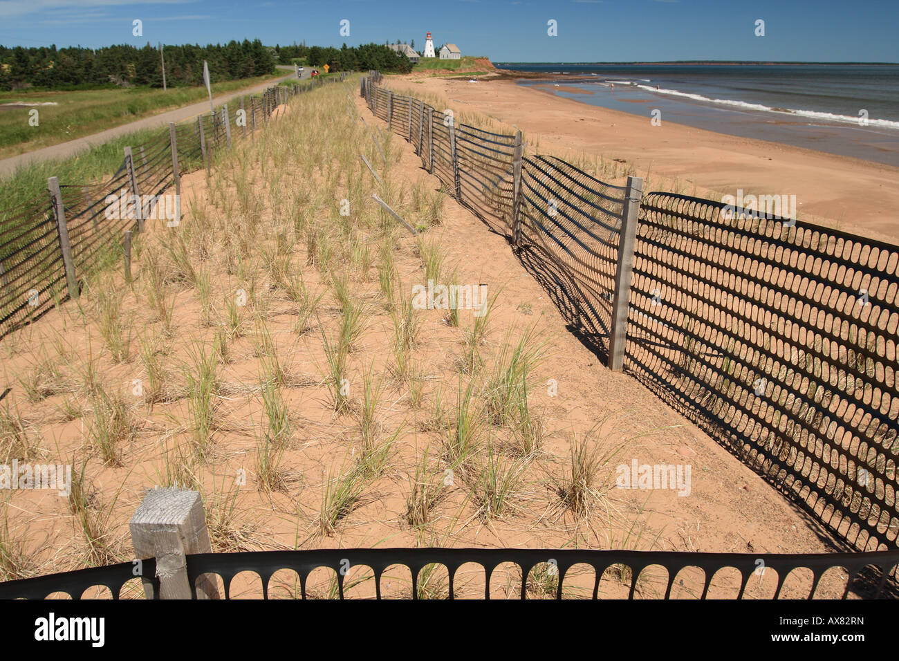 Spiaggia di dune di erba progetto di restauro Foto Stock