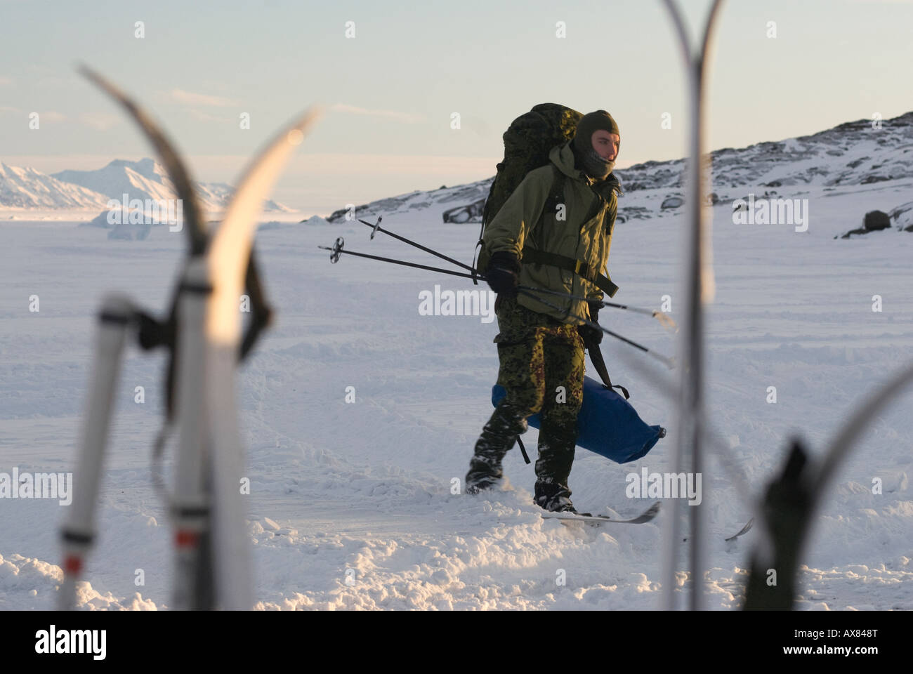 Settimana di sopravvivenza danese Forze Speciali cane Sirius Patrol Mestersvig nord est della Groenlandia sci di fondo di formazione. Foto Stock