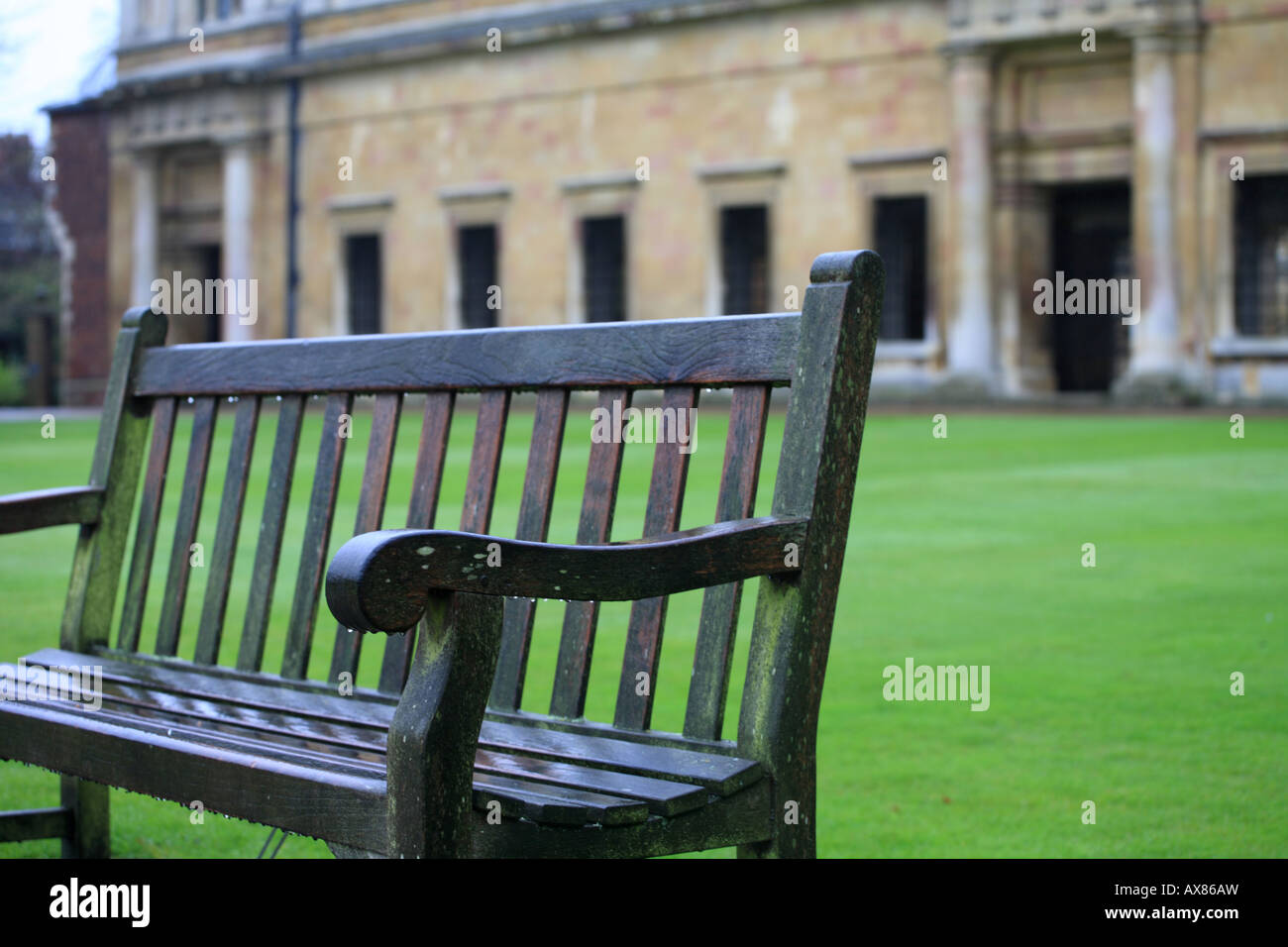 'Il Trinity College di Cambridge panca in legno" sul prato di fronte al 'Wren Library' Foto Stock