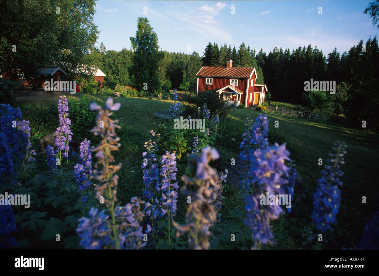 Fattoria Katthult, villaggio di Gibberyd, posizione per Michel da Loenneberga, Smaland, Svezia, Europa Foto Stock
