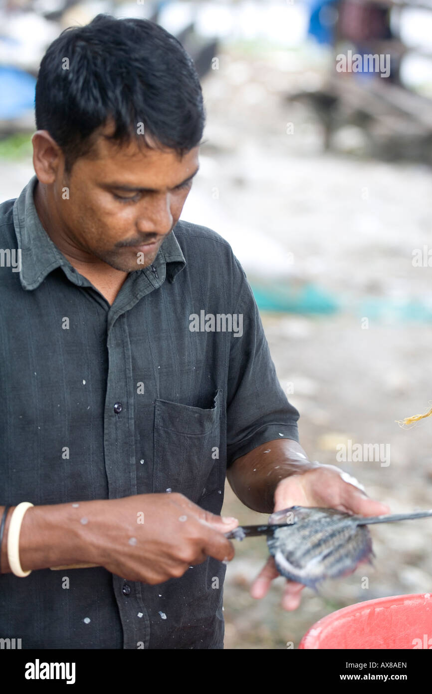 Keralite pescivendolo scaling pesci all aria aperta al mercato del pesce sulla banchina Fort kochi Beach Cochin Kerala India del Sud Foto Stock
