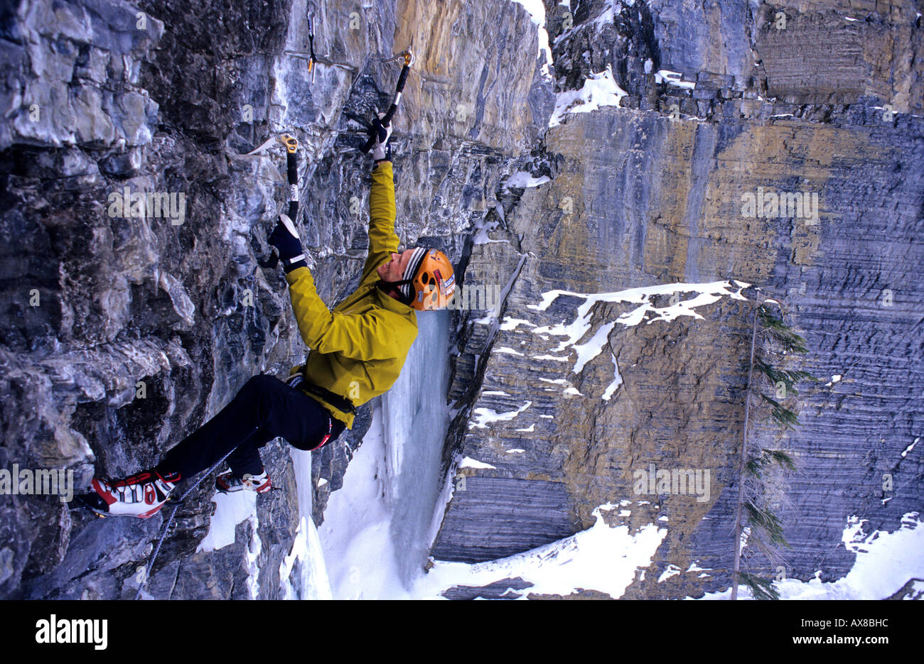 Evgeny Krivosheitsev climbing Pilsner, M8, misti arrampicata, arrampicata su ghiaccio, area d'oro, il Parco Nazionale di Banff, Alberta, Canada Foto Stock