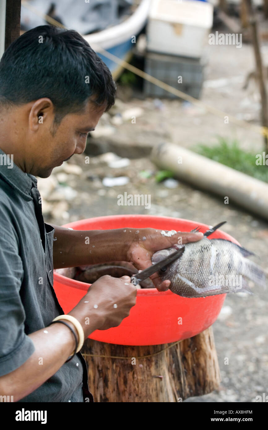Keralite pescivendolo scaling pesci all aria aperta al mercato del pesce sulla banchina Fort kochi Beach Cochin Kerala India del Sud Foto Stock