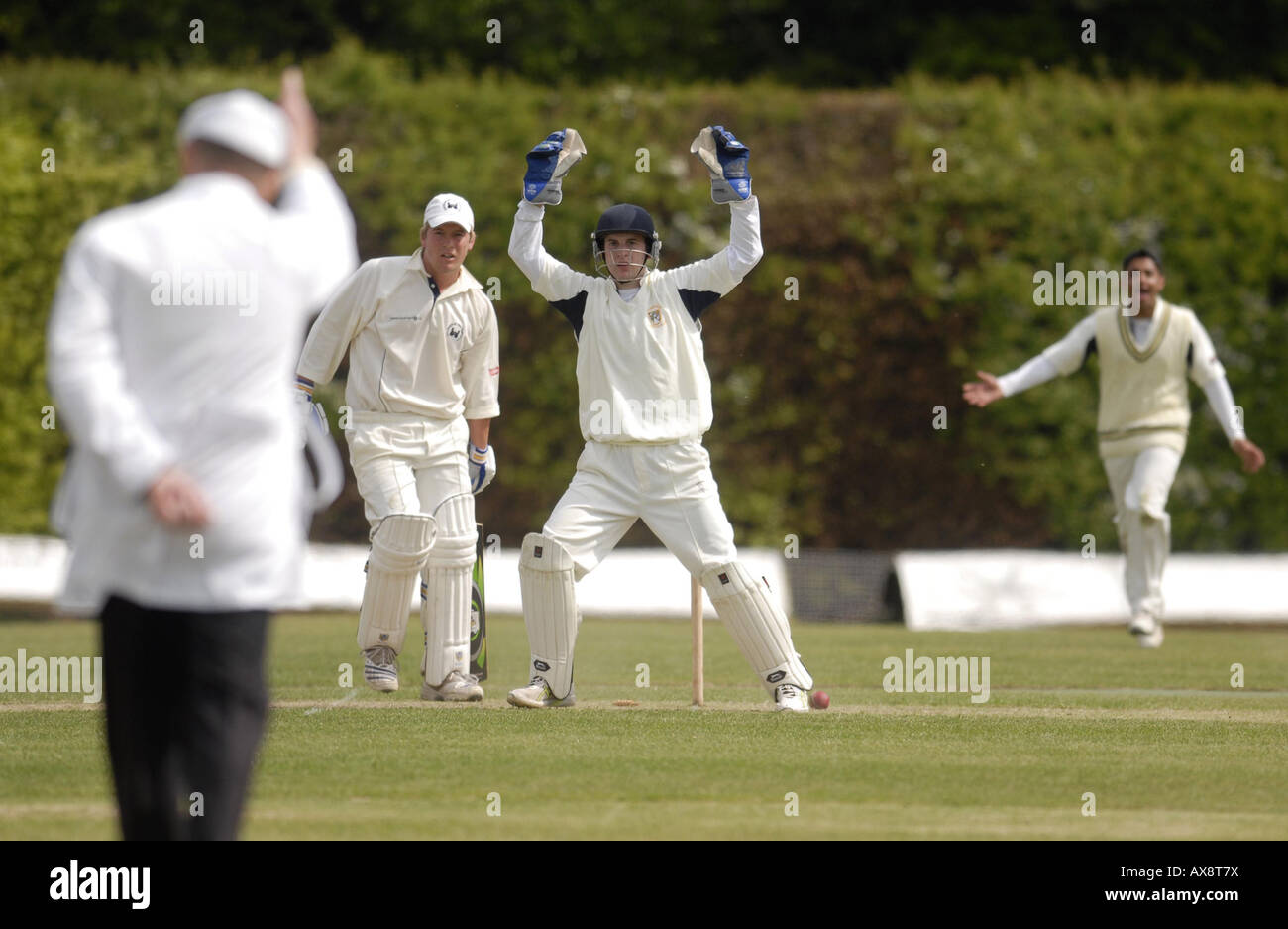 Partita di cricket Uddingston v Clydesdale Brian Clark batting per UddingstonUddingston v Clydesdale arbitro dà Nick James Foto Stock