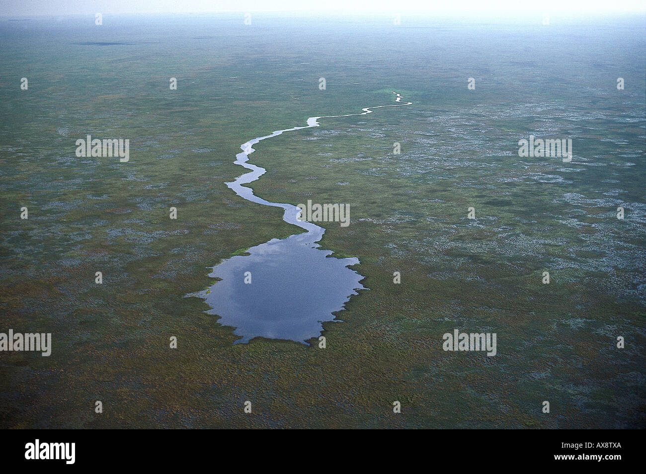 Vista aerea della laguna, Esteros del Iberá, Iberá Wetlands, Rio Paraná, Corrientes, Argentina Foto Stock