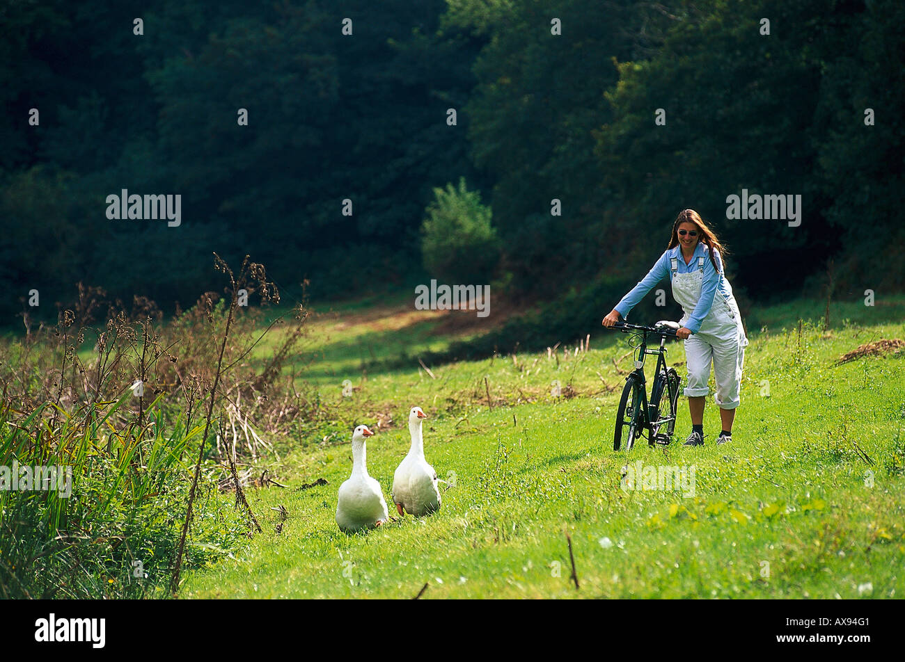 Donna spingendo una mountain bike su un campo, due oche, Basilica di San Pietro Valle, Jersey, Isole del Canale, Gran Bretagna Foto Stock