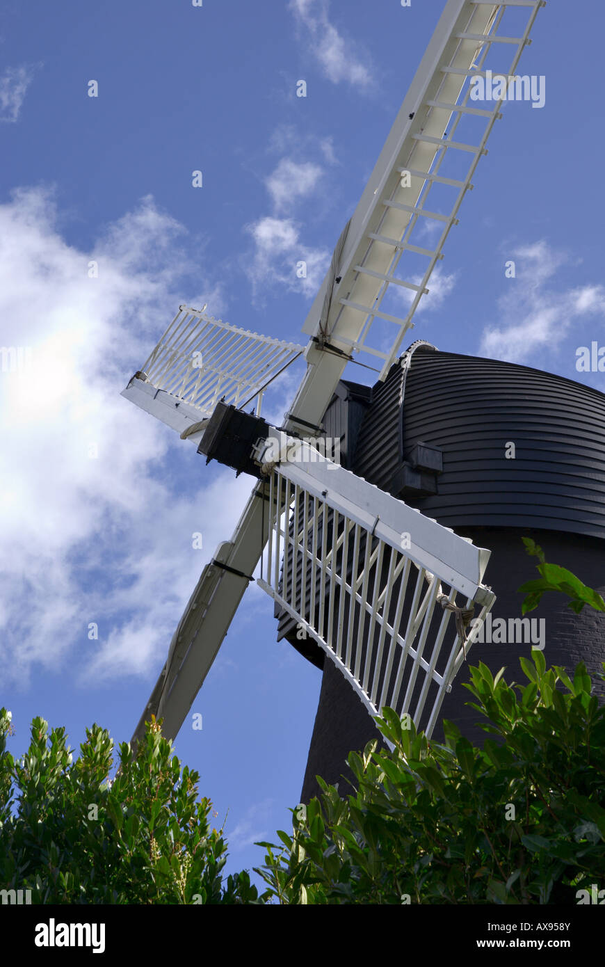 Un mulino a vento contro un cielo blu con fogliame in primo piano Foto Stock