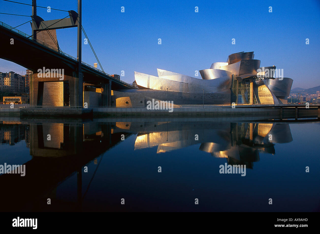 Guggenheim Museum Bilbao da architetto Frank Gehry, Nervión River, Bilbao, provincia di Biscaglia, Paesi Baschi Foto Stock