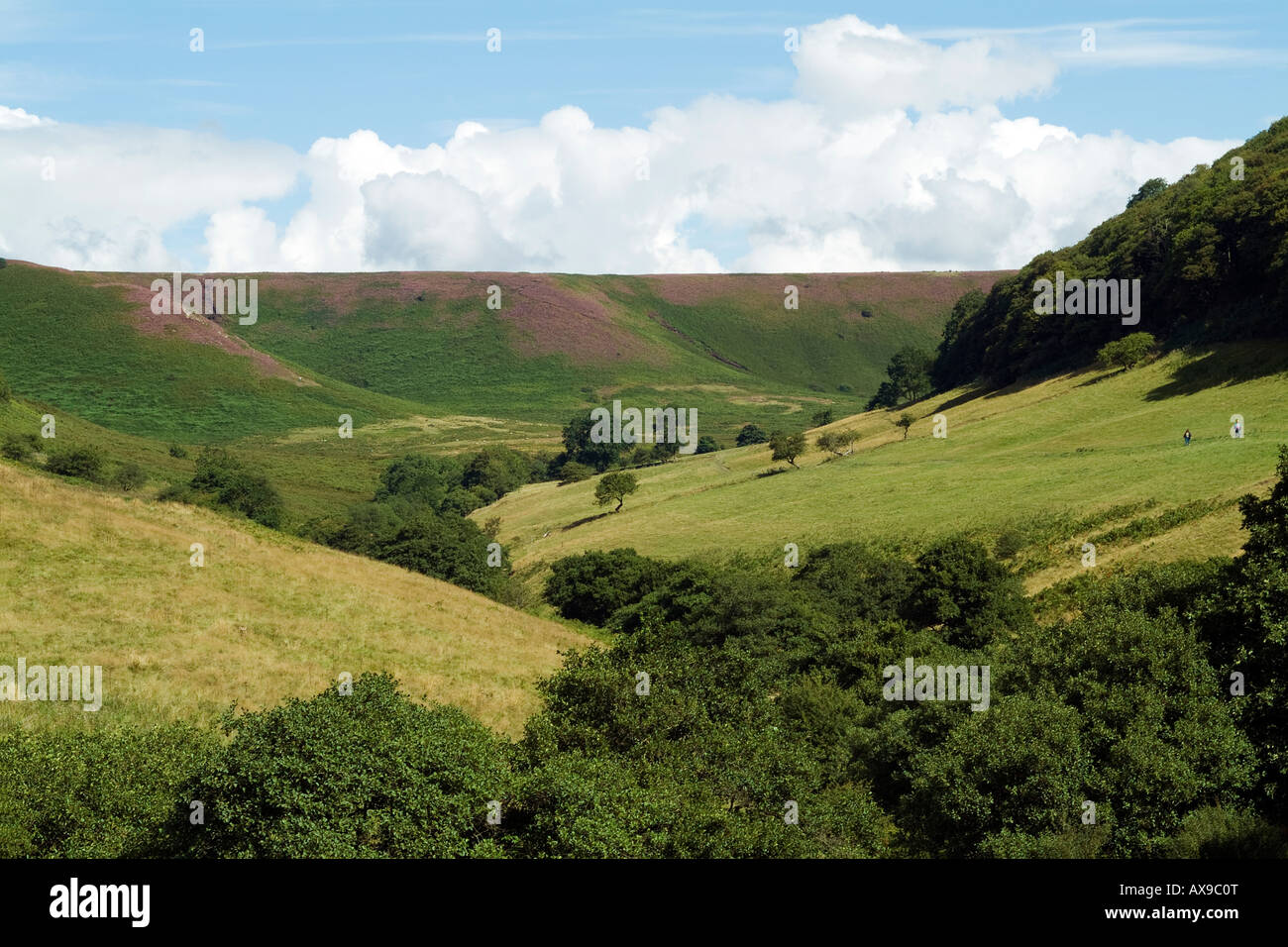 Guardando indietro al foro di Horcum dalla valle Levisham Foto Stock