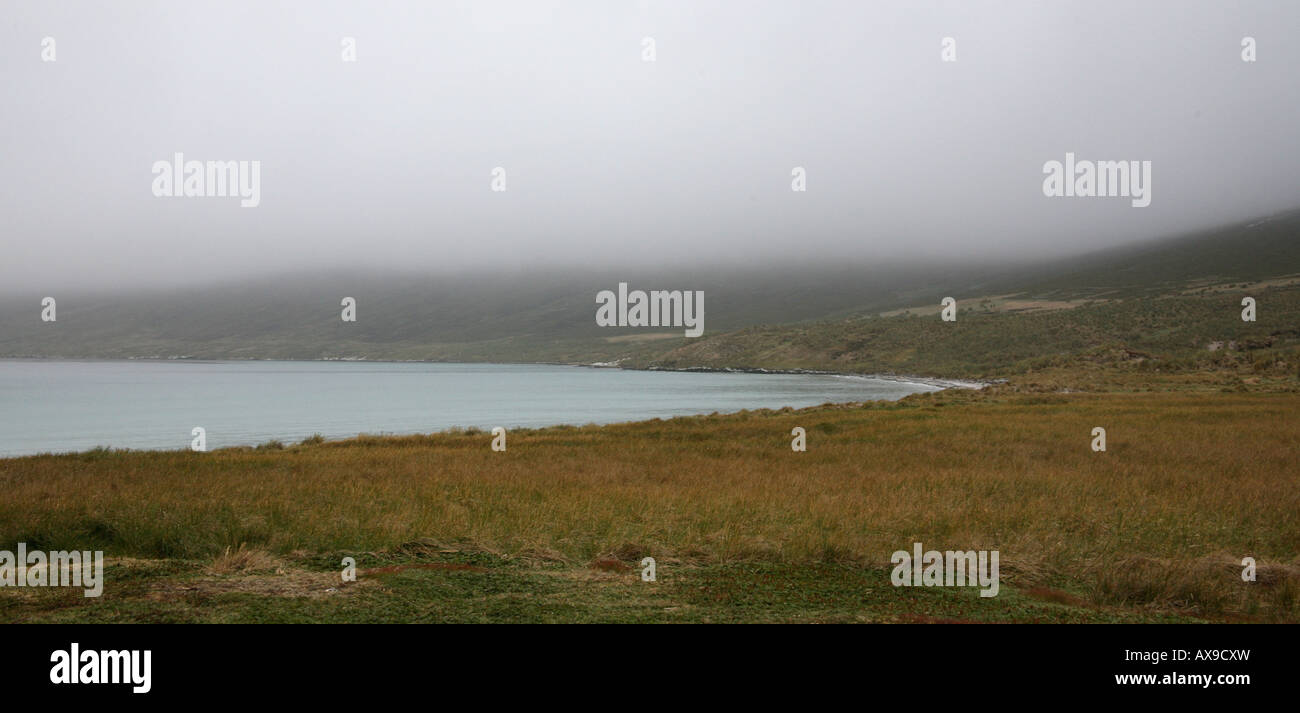 Misty costa scogliere erbose e colline in background Foto Stock