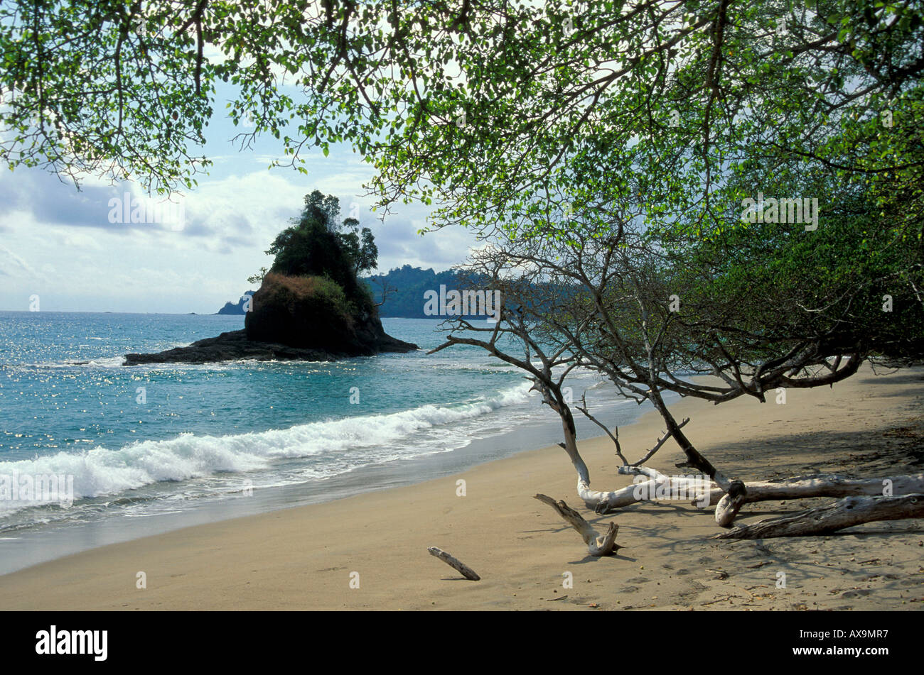 Spiaggia idilliaca nella luce del sole, Playa Espadilla, Manuel Antonio, Costa Rica, America Centrale, America Foto Stock