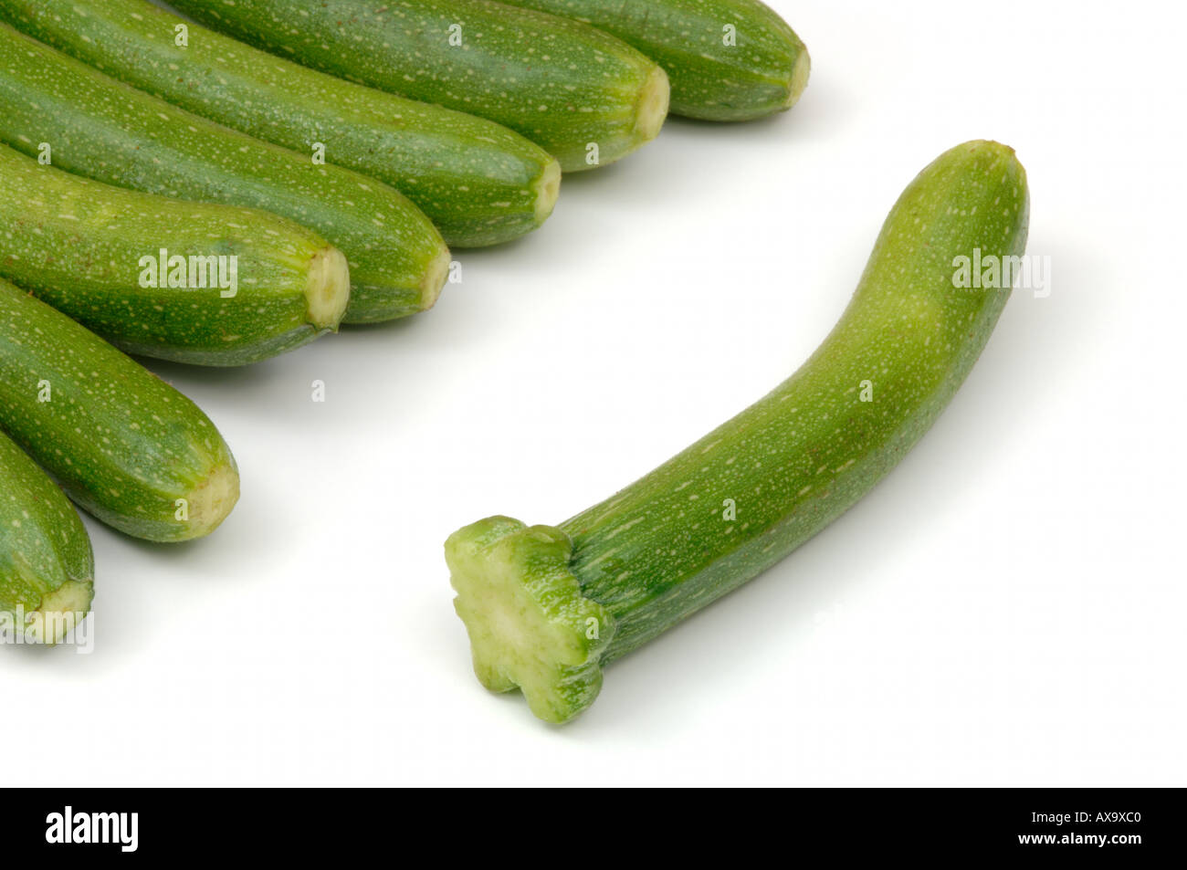 Bambino o di Zucchine Zucchine su sfondo bianco Foto Stock