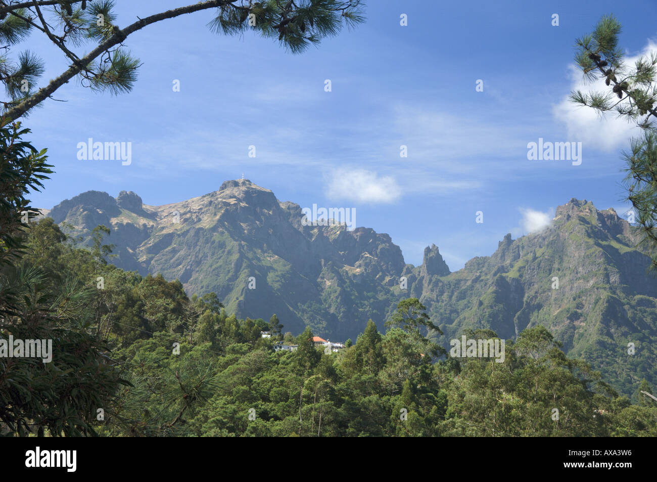 Portogallo Madeira montagne vicino Ribeiro Frio la vista verso Pico Arieiro e Pico Ruivo Foto Stock