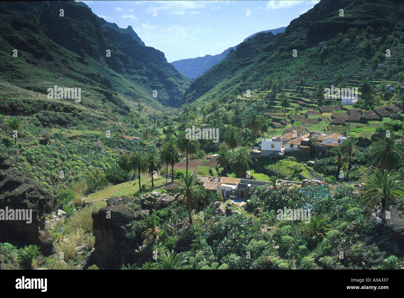 Lo del Gato, La Gomera Kanarische isole Foto Stock