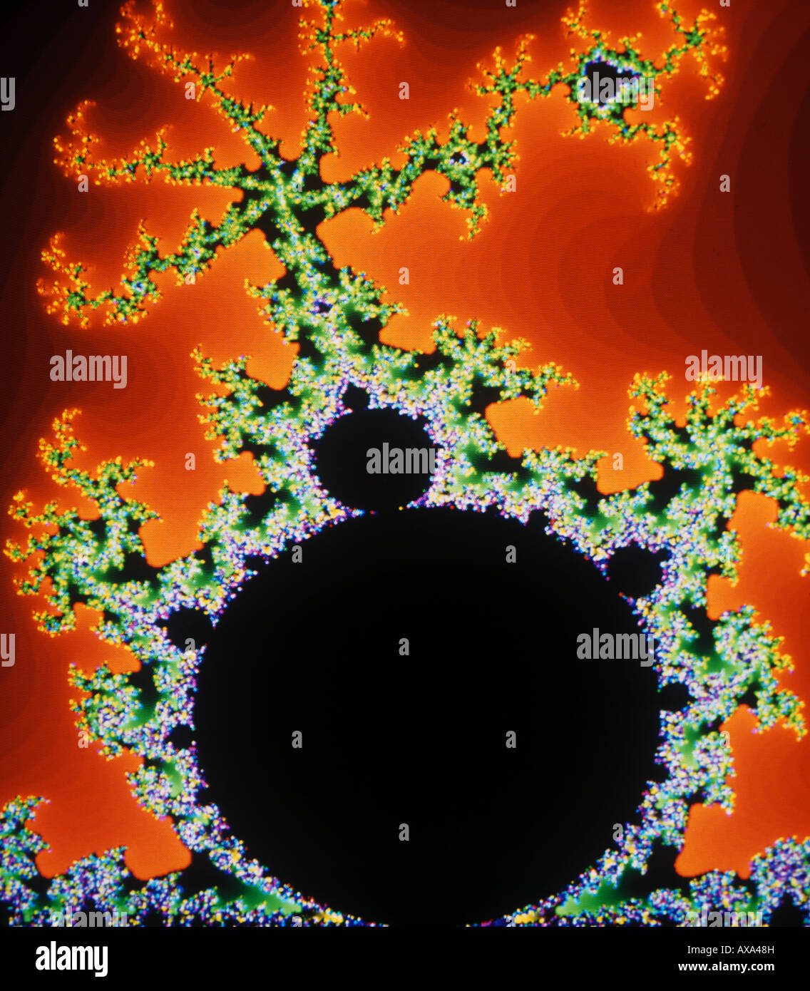 Set di Mandelbrot fotografato su un monitor di computer Foto Stock