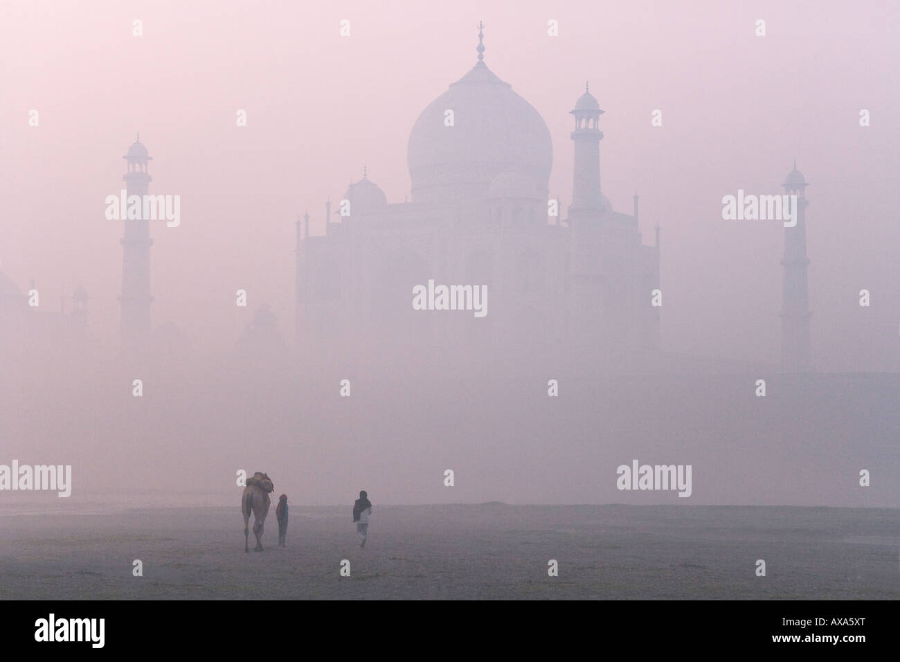 Ragazzo e cammello con Taj Mahal di nebbia di mattina Agra India Foto Stock