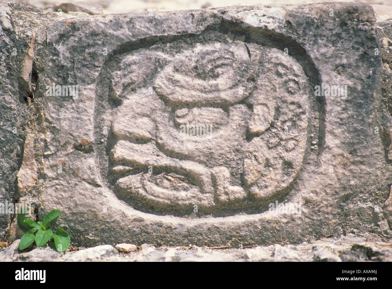 Elk156 2208 Messico Yucatan Edzna sito Maya 600-900 stile Puuc tempio di cinque livelli figura nelle colonne montanti di scale Foto Stock